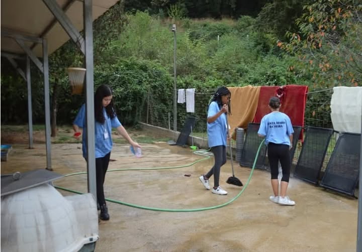 Academia Metropolitana de Voluntariado abre inscrições a jovens de Santa Maria da Feira