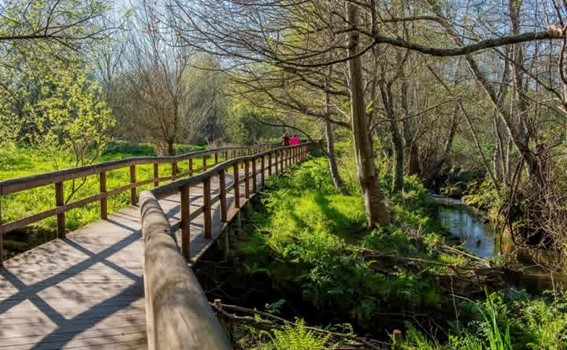 Levantamento de interdições dos passadiços e parques infantis com condicionamentos pontuais