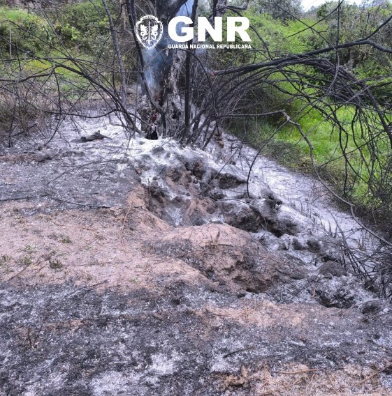 Detido por incêndio florestal em Santa Maria da Feira